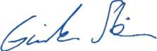 us-stein-blau250-tr.png